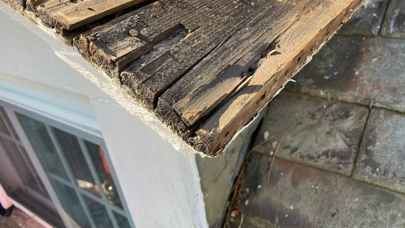 water damage from face nailing copper water damage from face nailing copper
